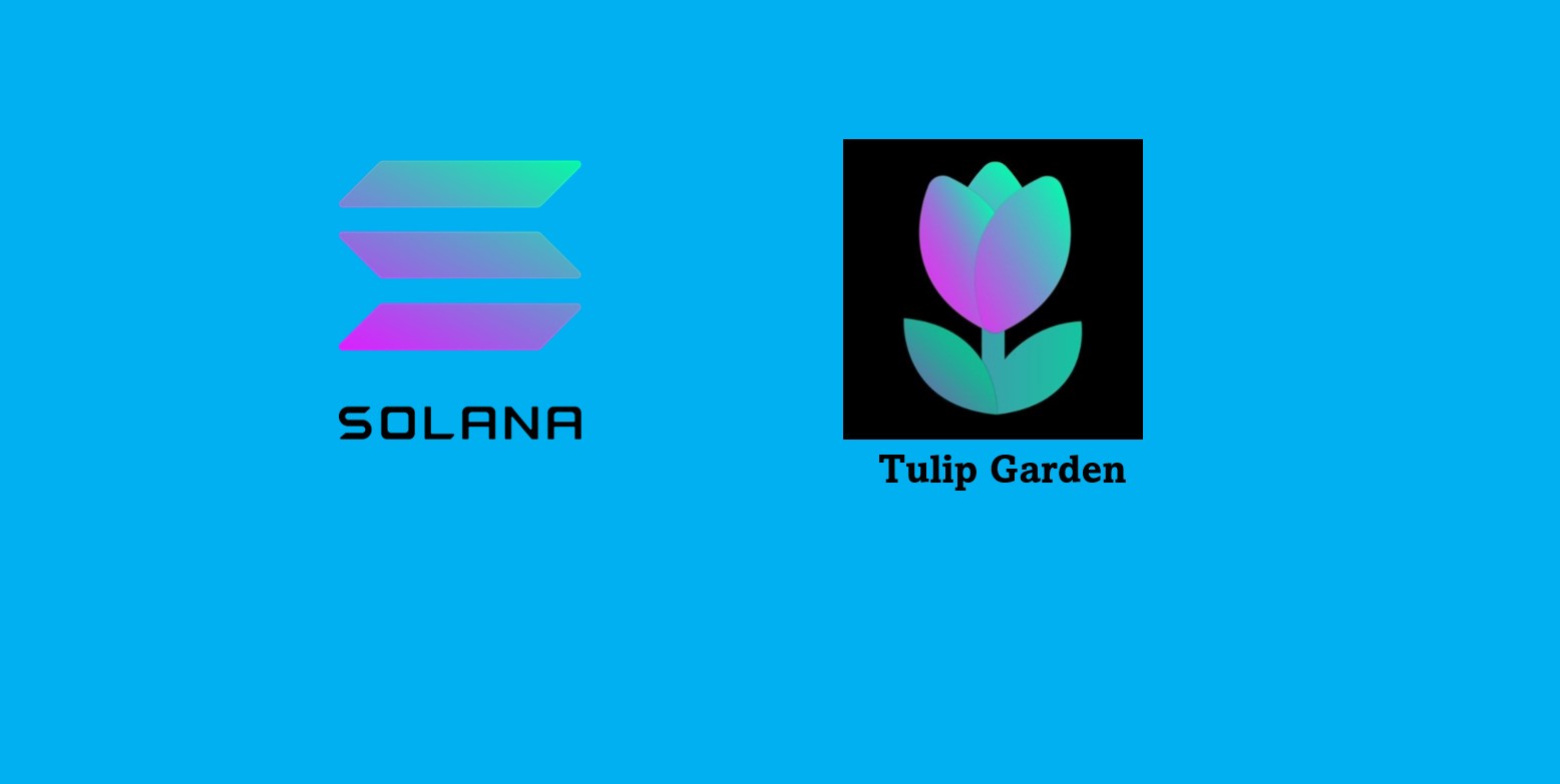 แนะนำฟังก์ชั่นเจ๋งๆ ของธุรกิจ Leverage Farming ที่ชื่อ Tulip บนบล็อคเชน  Solana - BrandThink